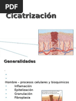 CICATRIZACIÓN