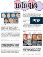 Cariología (Clase 1)