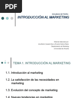 Esquemas de Introduccion Al Marketing