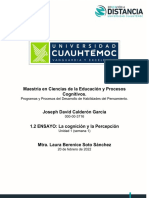 1.2 ENSAYO - La Cognición y La Percepción. Joseph Calderón