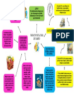 Mapa Conceptual Tasa de Cambio