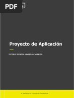 Proyecto Aplicacion