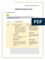 Informe de Estudio de Casos, Estrategias