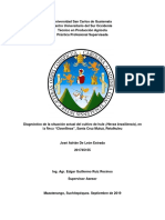 Diagnostico Finca Clavellinas PDF