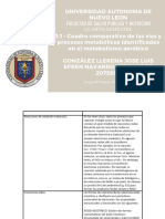 3.1 - Cuadro Comparativo de Las Vías y Procesos Metabólicos Identificados en El Metabolismo Aeróbico - 2075990