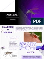 Paludismo