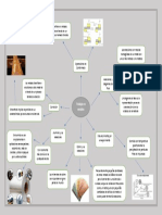 Mapa Mental 2 CORREGIDO