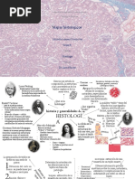 Mapa Histologia 1