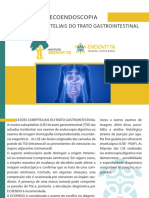 Lesões Subepiteliais Do Trato Gastrointestinal