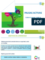 Pausas Activas