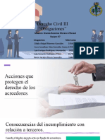 Acciones Que Protegen Al Derecho Del Acreedor