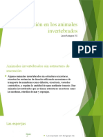 La Excrecion en Los Animales Invertebrados