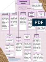 Mapa Conceptual - Comportamiento Del Consumidor