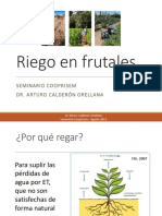 Riego en Frutales