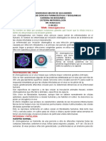 TEMA: Citomegalovirus