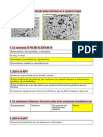 Examen Genetica