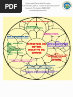 Estructura Del Sistema Educativo Del Ecuador