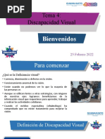  Discapacidad Visual 