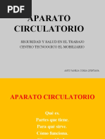 Aparato Circulatorio