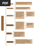 Conta Act 44