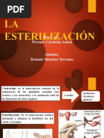 La Esterilizacion