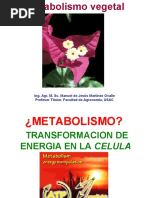 Metabolismo La Esencia de La Vida