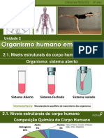 CN9 Niveis Estruturais Corpo Humano