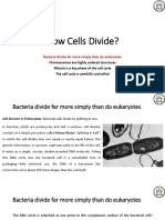 CH8 Cell Divisions