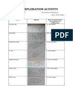 Cell Exploration Activity