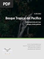 Bosque Tropical Del Pacífico Informe