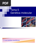 Genética Molecular