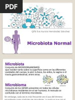 10.microbiota Normal.2021