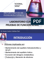 Clases - Pruebas de Funcion Renal