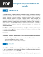 Normas Gerais e Especiais de Tutela Do Trabalho: Apresentação