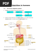 Nutrition in Humans: 6.1 The Human Digestive System