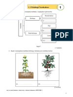 LAT 1 Unit 1.1 Fisiologi Tumbuhan