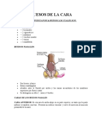 HUESOS DE LA CARA Informe