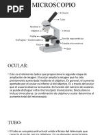 Partes Del Microscopio