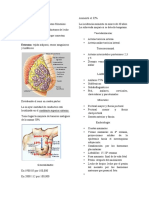 Tumores de Mama