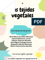 Los Tejidos Vegetales