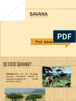 0 Savana