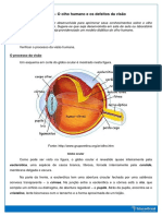 Atividade O Olho Humano e Os Defeitos Da Visão