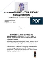 Aula 1-Comportamento Organizacional e Consumidor