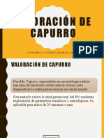 Valoración de Capurro