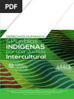 Folleto Pueblos Indigenas