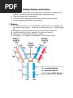 Antibody Structure and Funcion