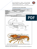 Practica Crustáceos-Guía Académica