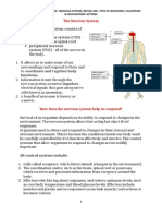 Notes On Coordination - Response - Nervous System, Reflex Arc, Type of Neurones