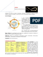 Parasitologie Orientée Canine