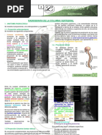 RX de Columna Vertebral